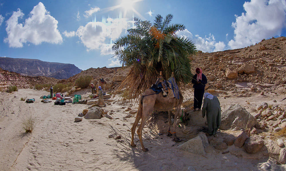 Wadi Suq el Binet