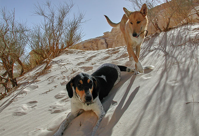 Lara und Ari auf der Sanddüne