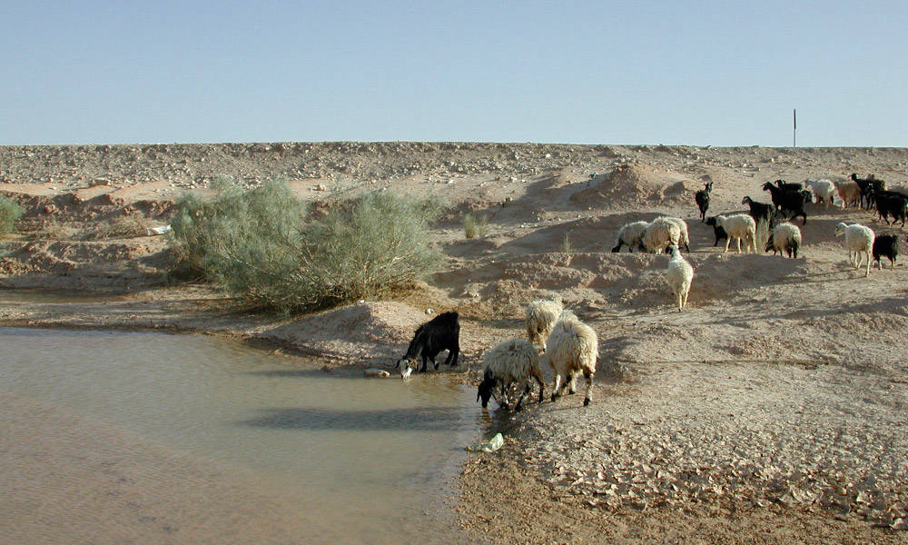 Wadi Ghilim