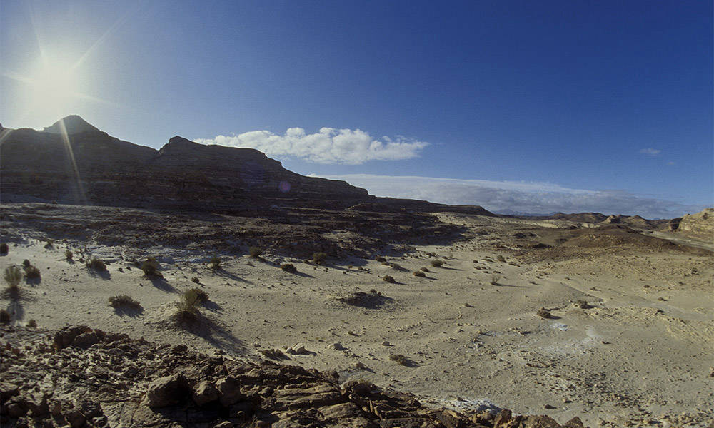 Wadi Mezli