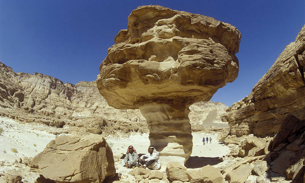 Wadi Arade