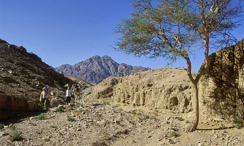 Wadi Yahmet