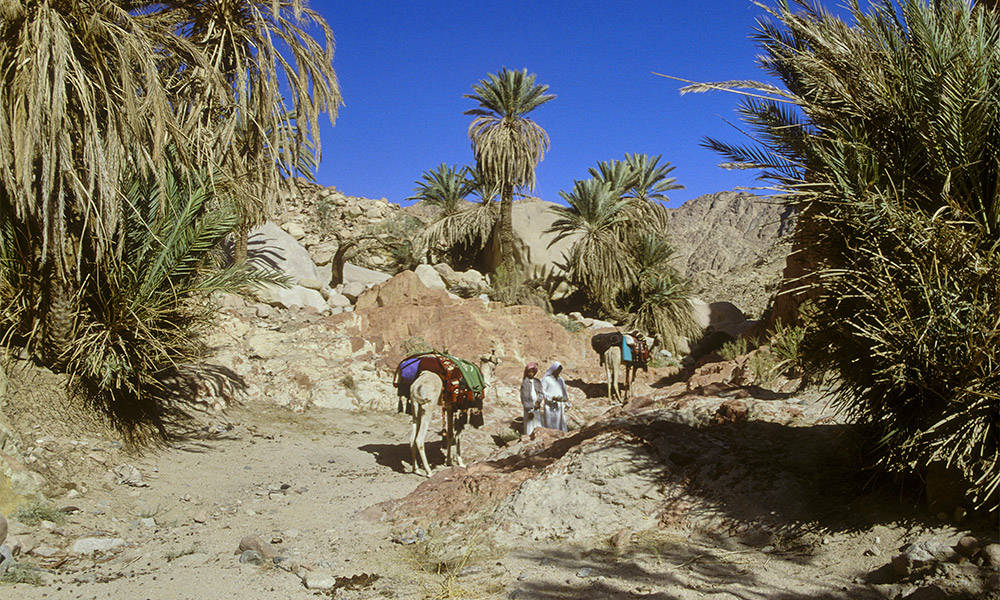 Wadi Rumhan