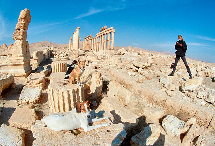 Zusammen in Palmyra